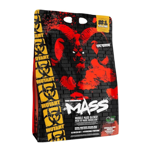 Chocolate Fudge Brownie